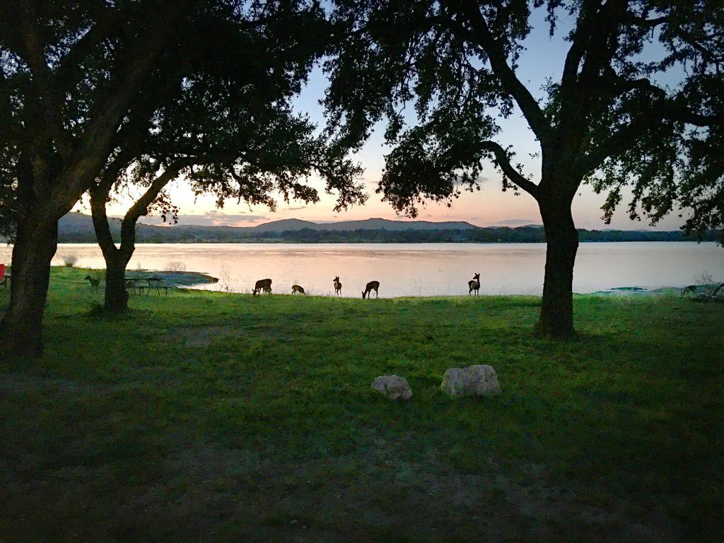 Medina Lake Camping Resort Cabin 3 Lakehills Buitenkant foto